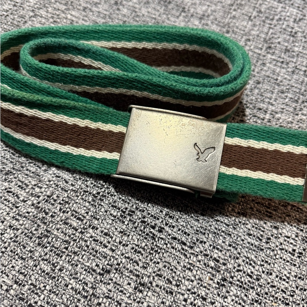 American Eagle Outfitters Green and Brown Belt